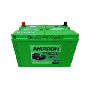 amaron t110 efb